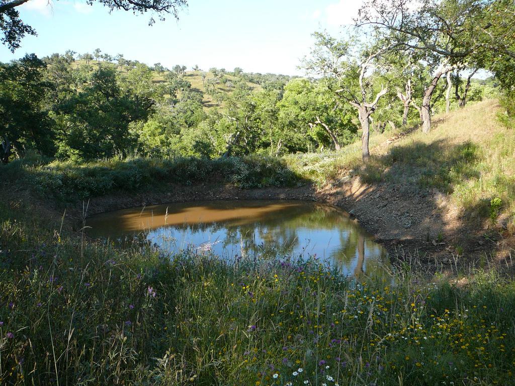 Monte Da Ameira Roncao Экстерьер фото